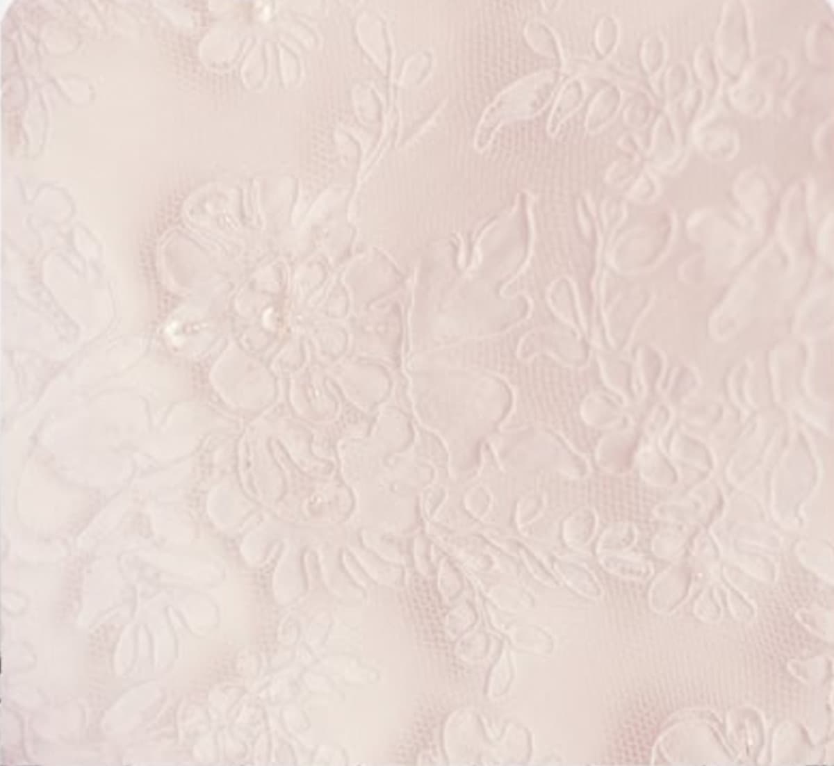 Blush Lace photo booth backdrop